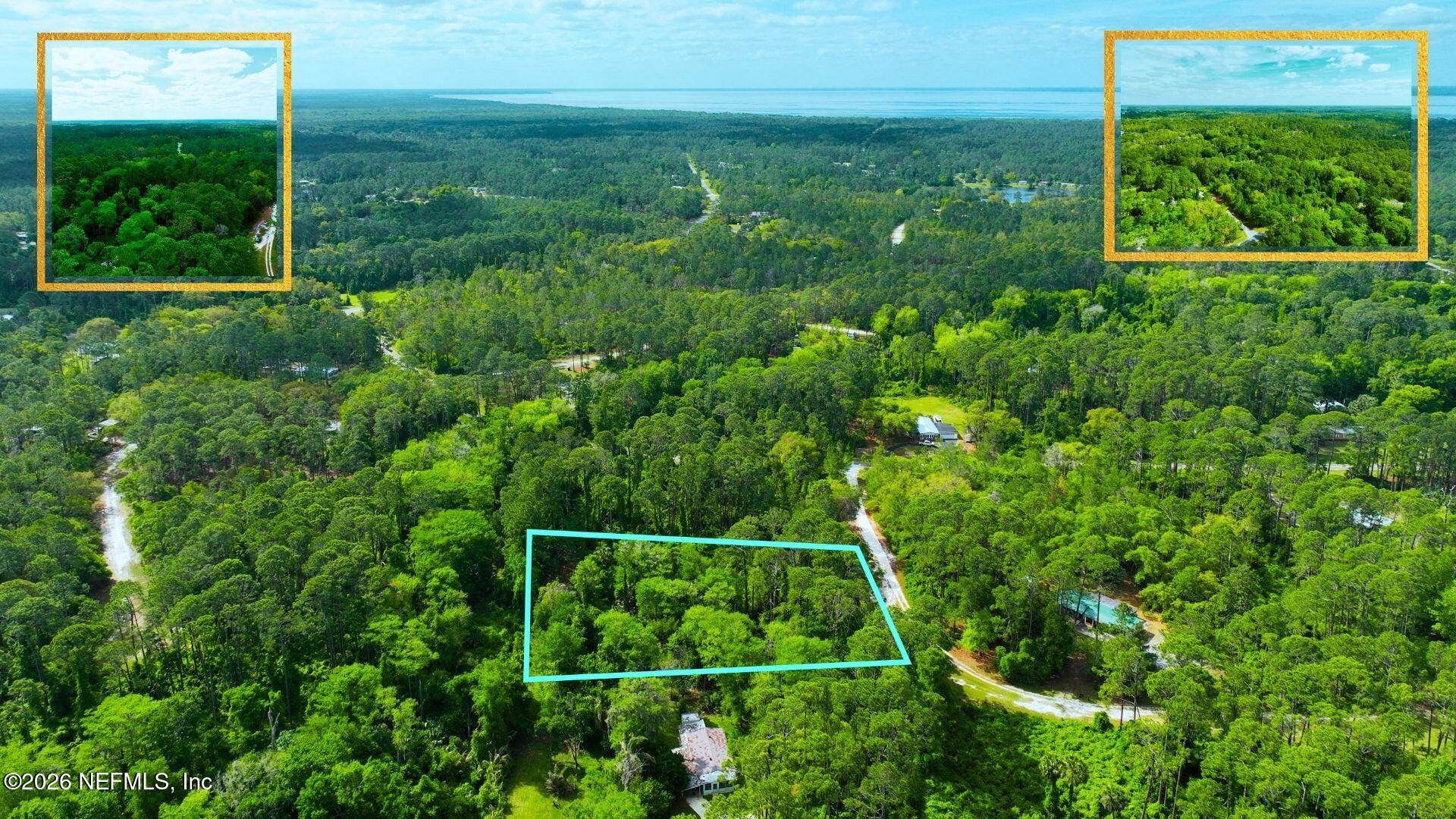 102 Hyacinth Court Georgetown, FL 32139 - Photo 5 of 9 3-4_2