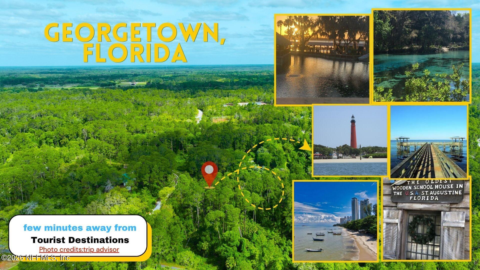 102 Hyacinth Court Georgetown, FL 32139 - Photo 9 of 9 7-9_3