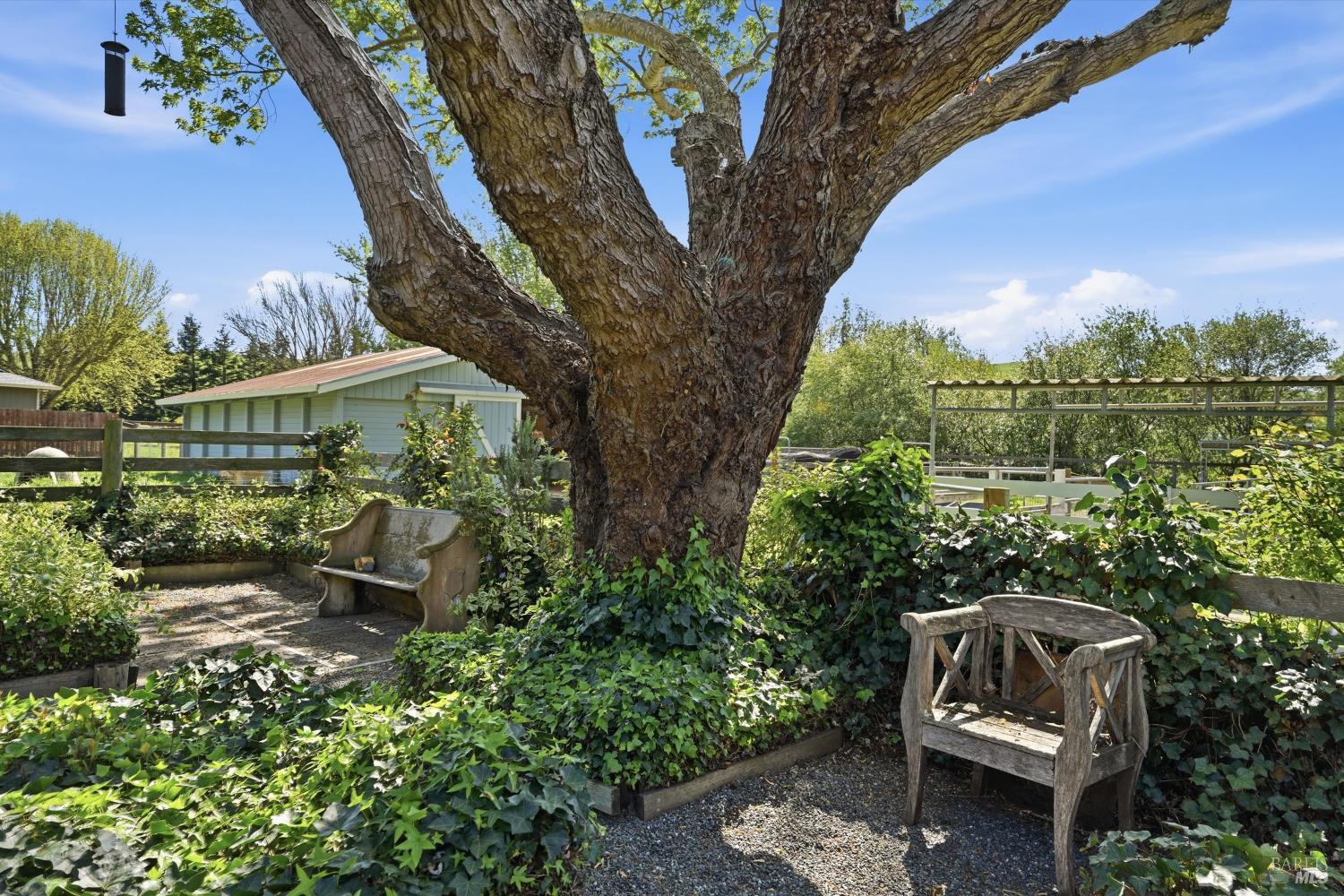 4320 Roblar Road Petaluma, CA 94952 - Photo 3 of 54