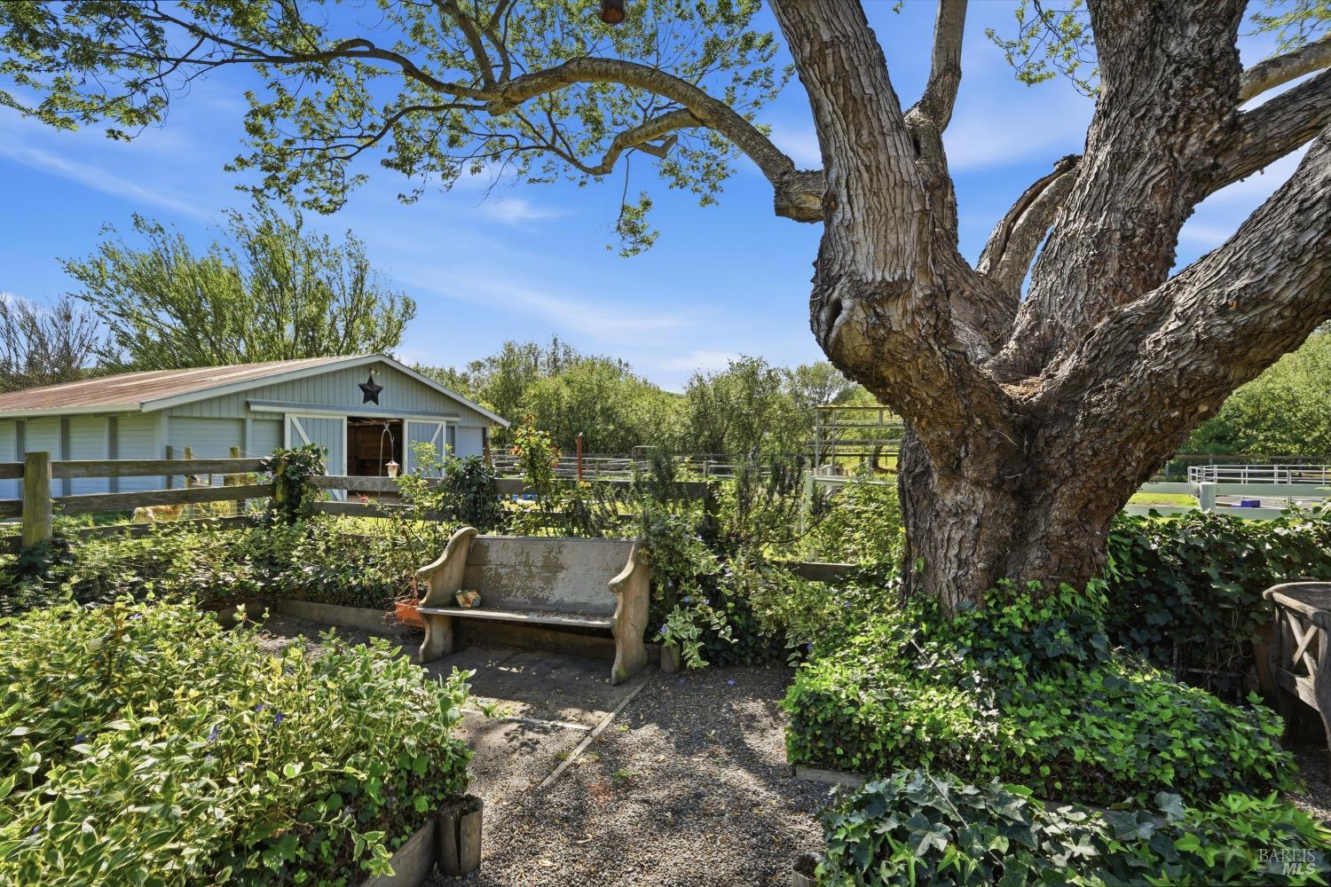 4320 Roblar Road Petaluma, CA 94952 - Photo 38 of 54 Just steps away from the house is the 3 stall barn