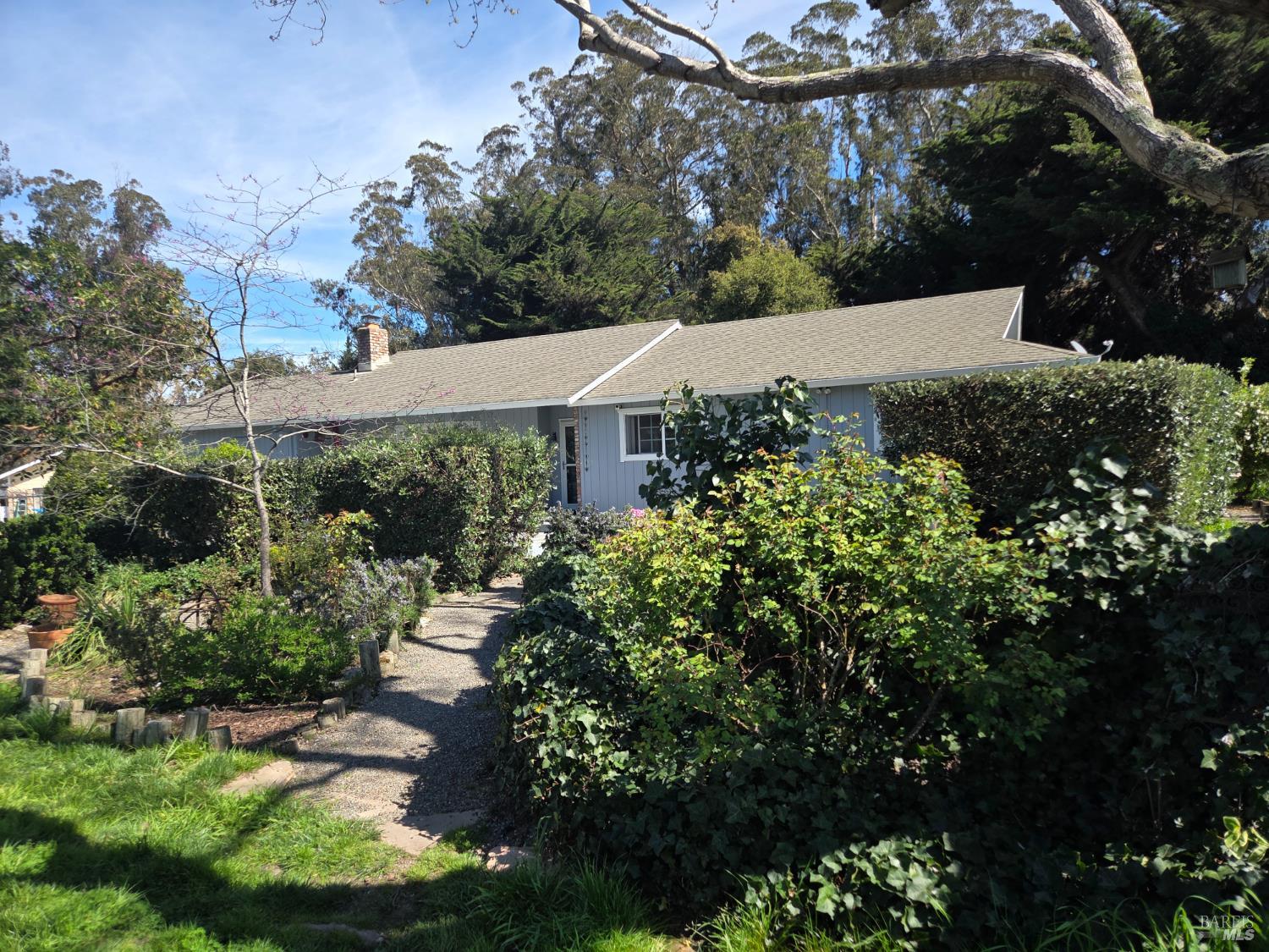 4320 Roblar Road Petaluma, CA 94952 - Photo 4 of 59