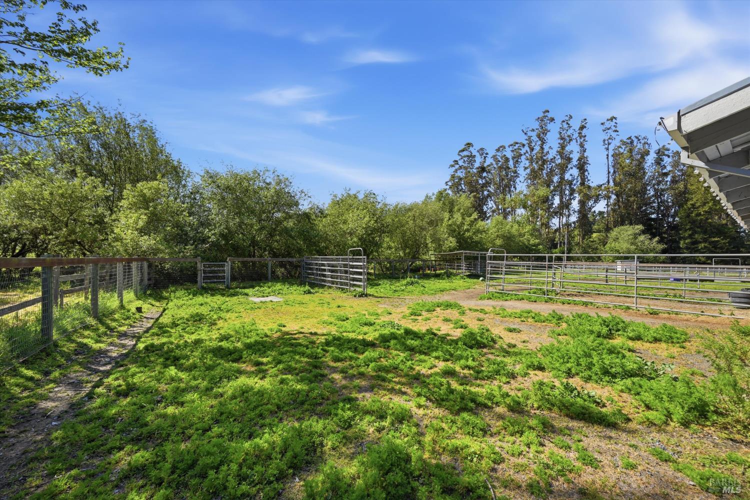 4320 Roblar Road Petaluma, CA 94952 - Photo 44 of 54 Paddocks behind the barn