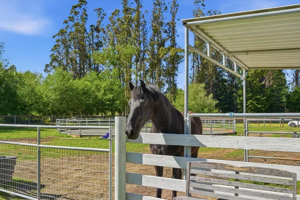 $1,450,000 | 4320 Roblar Road, Petaluma, CA 94952