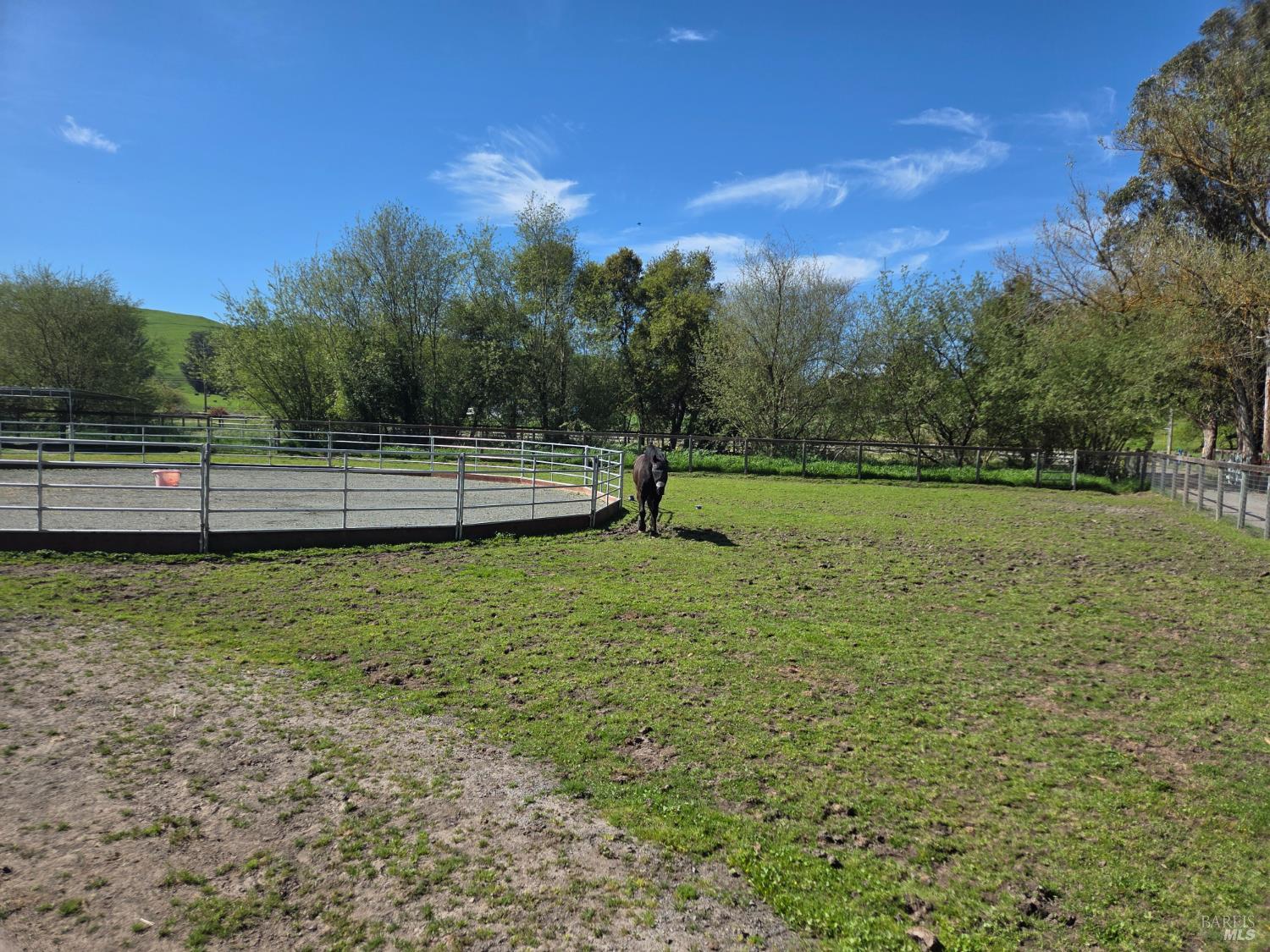 4320 Roblar Road Petaluma, CA 94952 - Photo 48 of 54