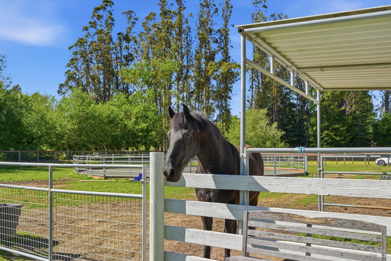 4320 Roblar Road Petaluma, CA 94952 - Photo 49 of 59