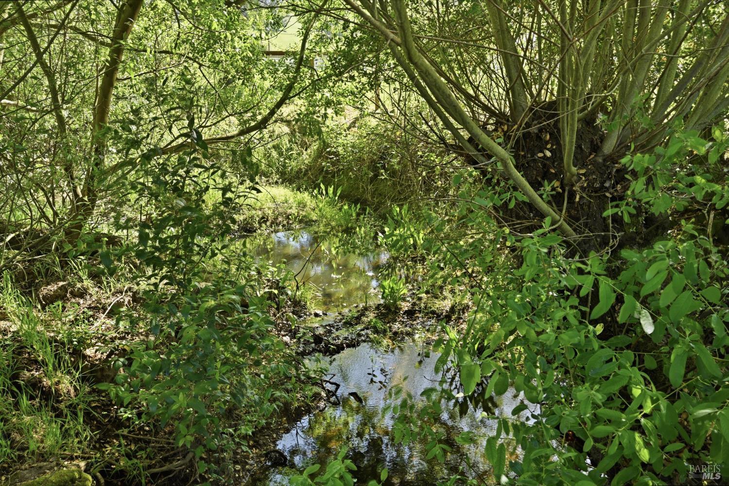 4320 Roblar Road Petaluma, CA 94952 - Photo 50 of 54