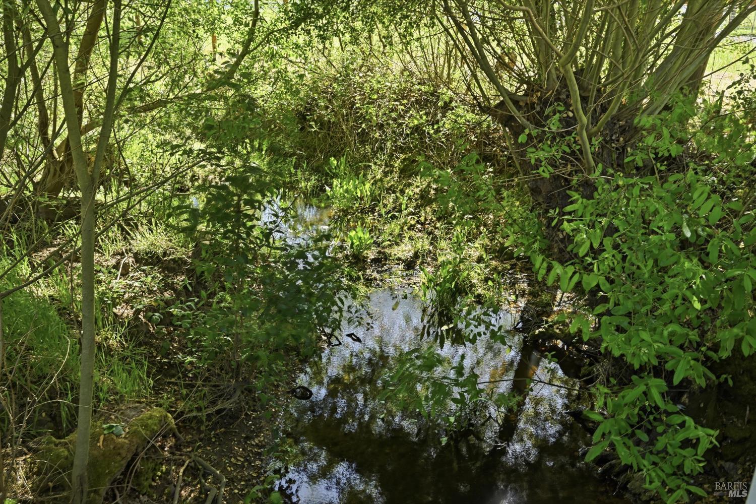 4320 Roblar Road Petaluma, CA 94952 - Photo 53 of 59 Seasonal creek runs through the upper portion of the property