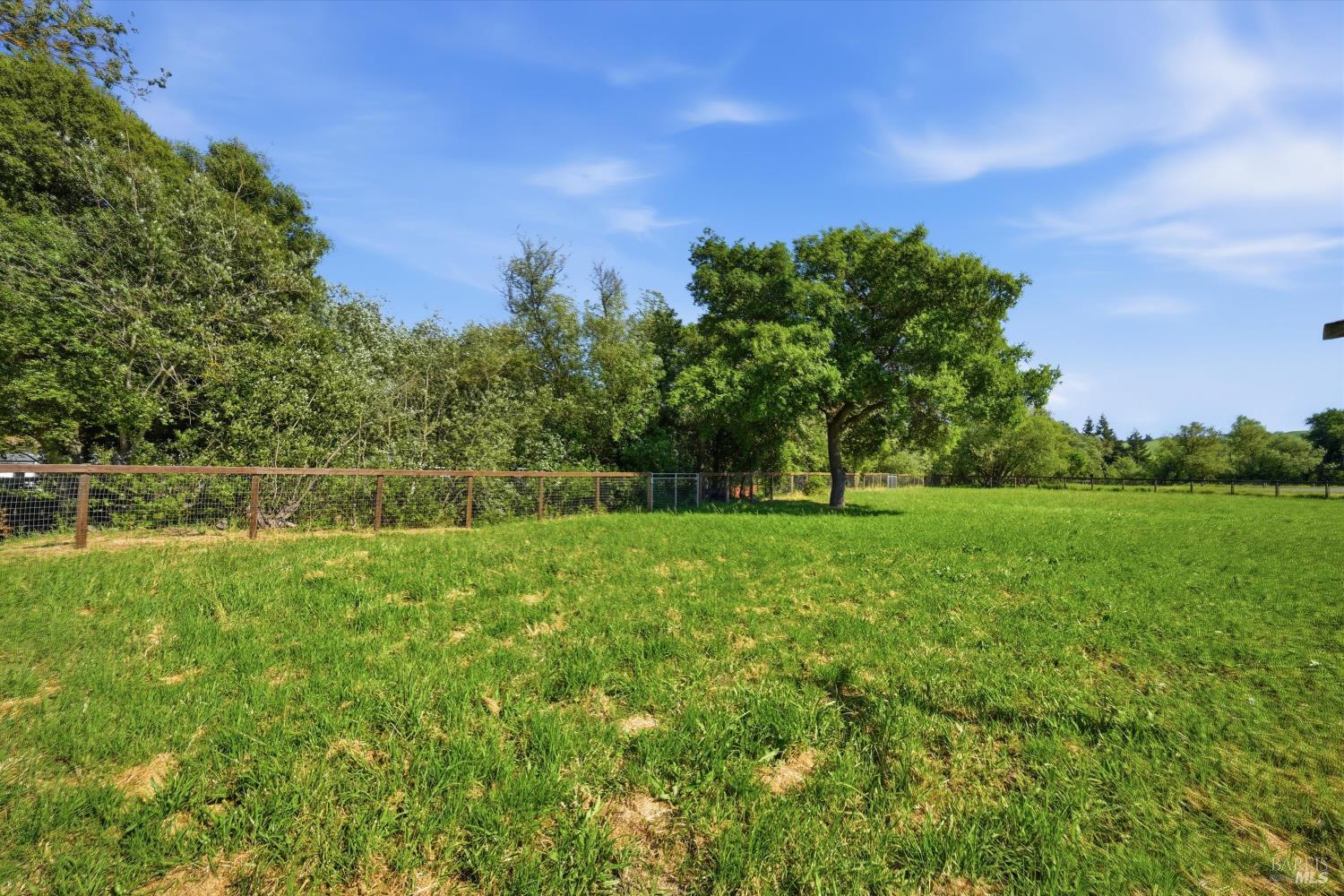 4320 Roblar Road Petaluma, CA 94952 - Photo 53 of 54 Additional view of the front pasture area