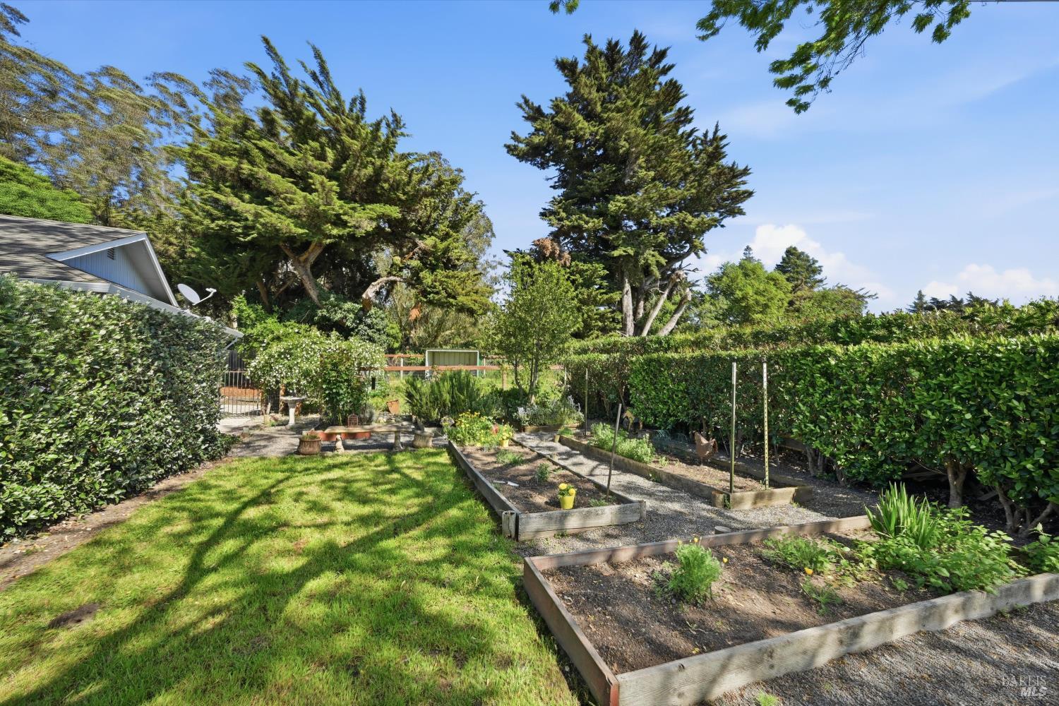 4320 Roblar Road Petaluma, CA 94952 - Photo 7 of 54