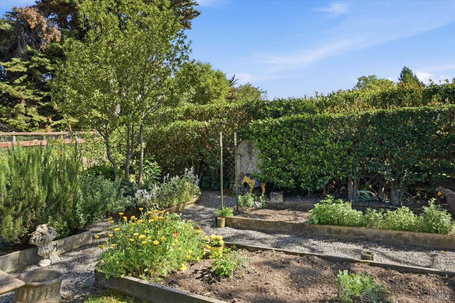 4320 Roblar Road Petaluma, CA 94952 - Photo 8 of 54