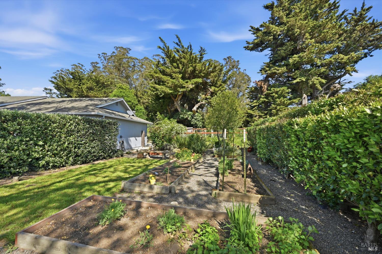 4320 Roblar Road Petaluma, CA 94952 - Photo 9 of 54