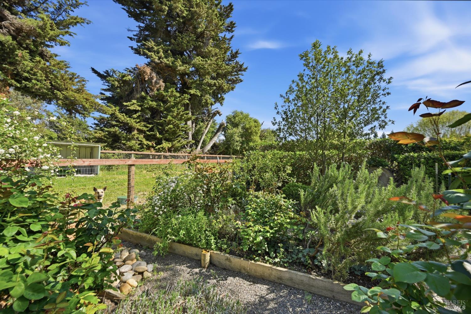 4320 Roblar Road Petaluma, CA 94952 - Photo 10 of 54