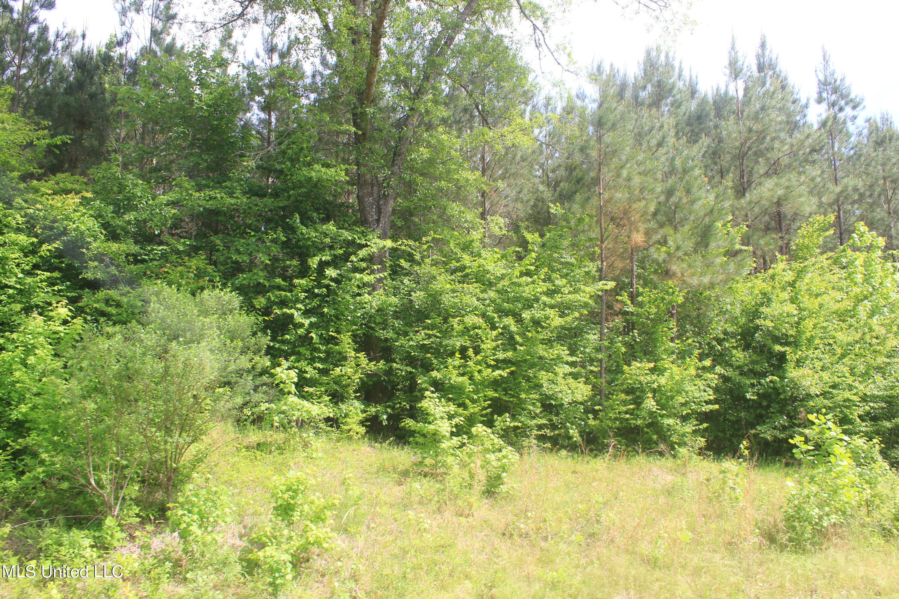 2410 Musgray Road Waterford, MS 38685 - Photo 23 of 25 IMG_8369