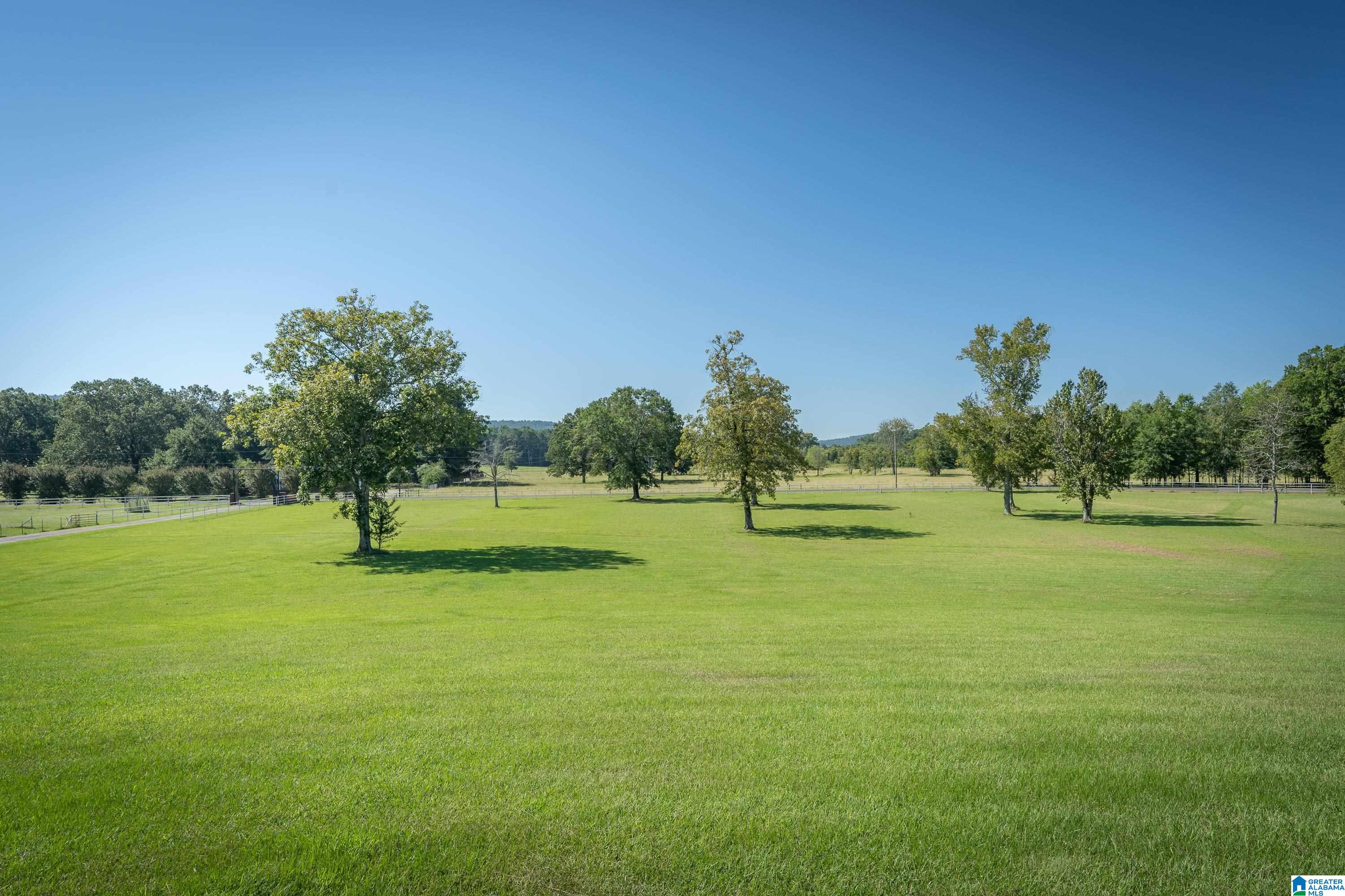 595 Browning Road Odenville, AL 35120 - Photo 44 of 50
