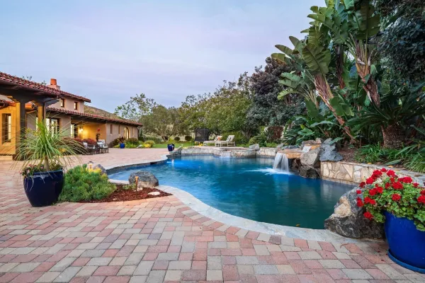 a view of a swimming pool with potted plants