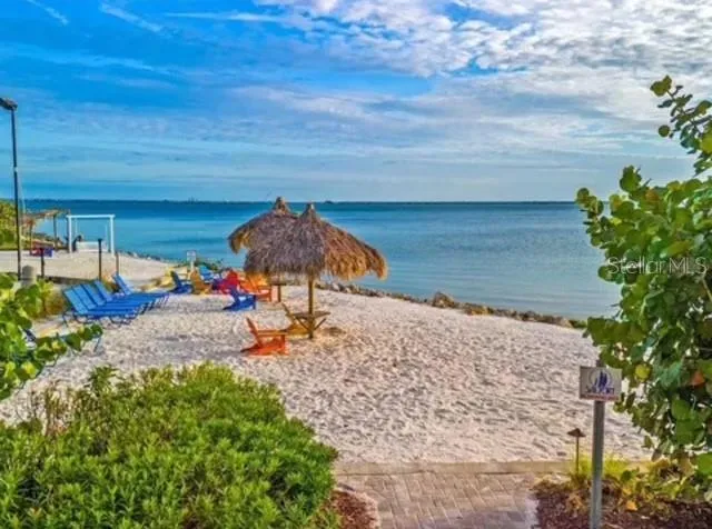 a view of a beach and ocean