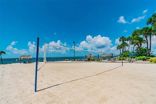 a swimming pool with an outdoor seating yard and palm tree