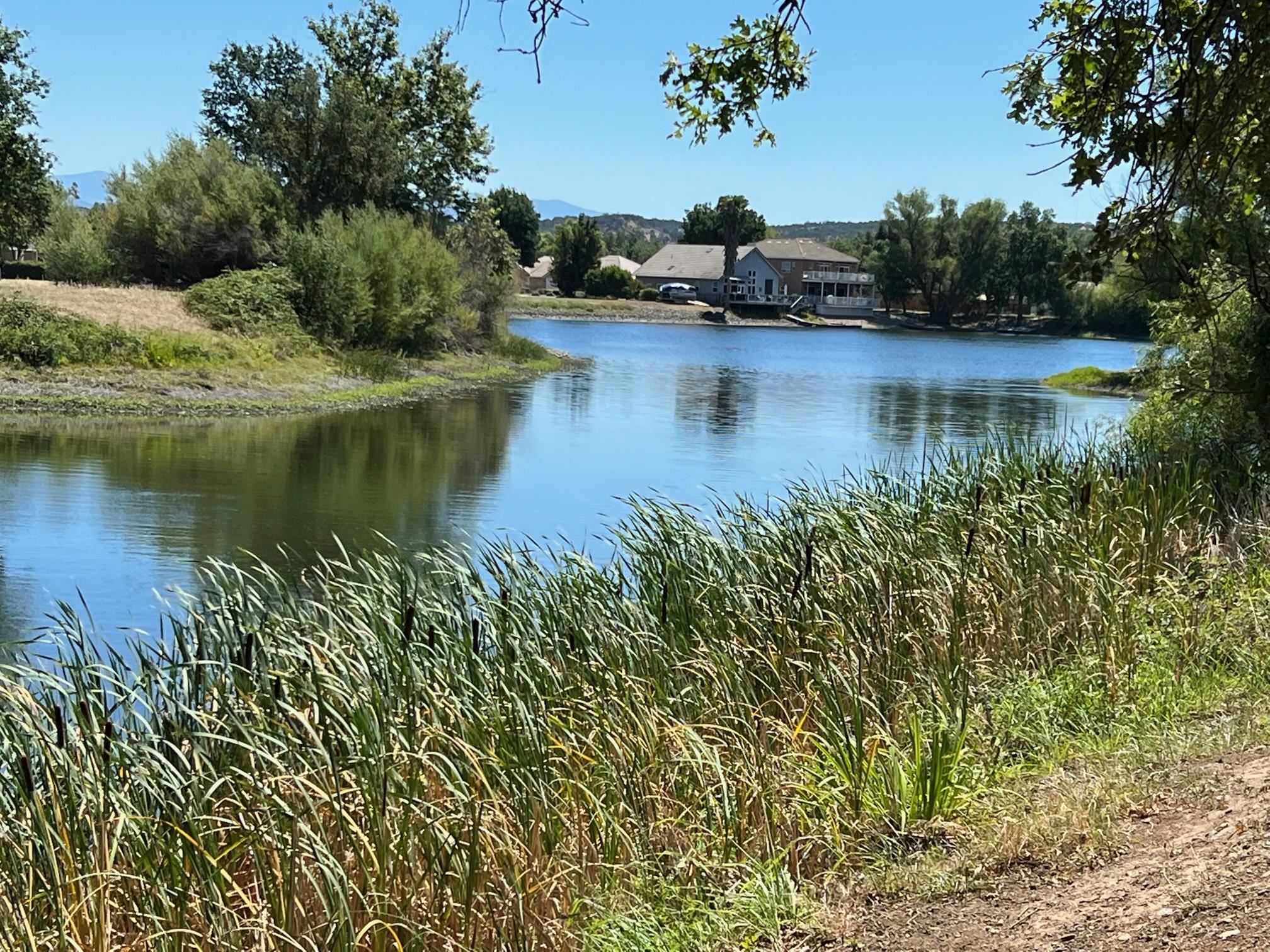 Lot 79 Rio Alto Drive Red Bluff, CA 96080 - Photo 5 of 14