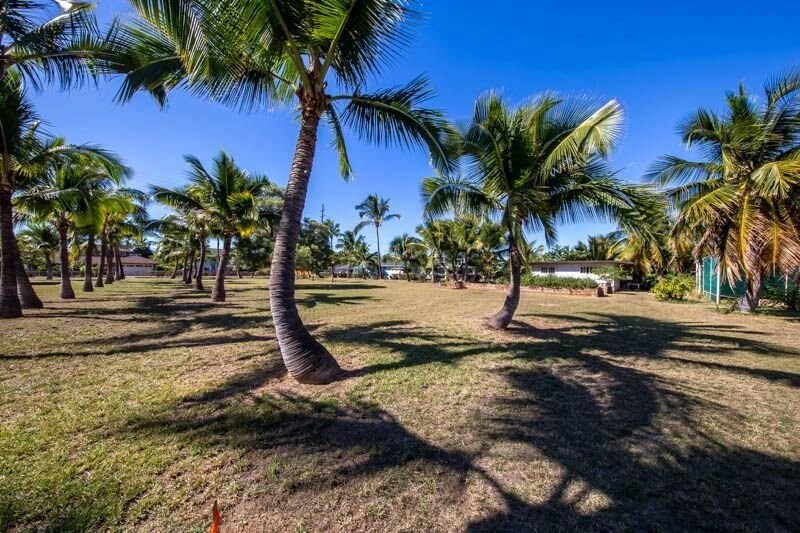 8589 Elepaio Road Kekaha, HI 96752 - Photo 13 of 16 a view of outdoor space with palm trees