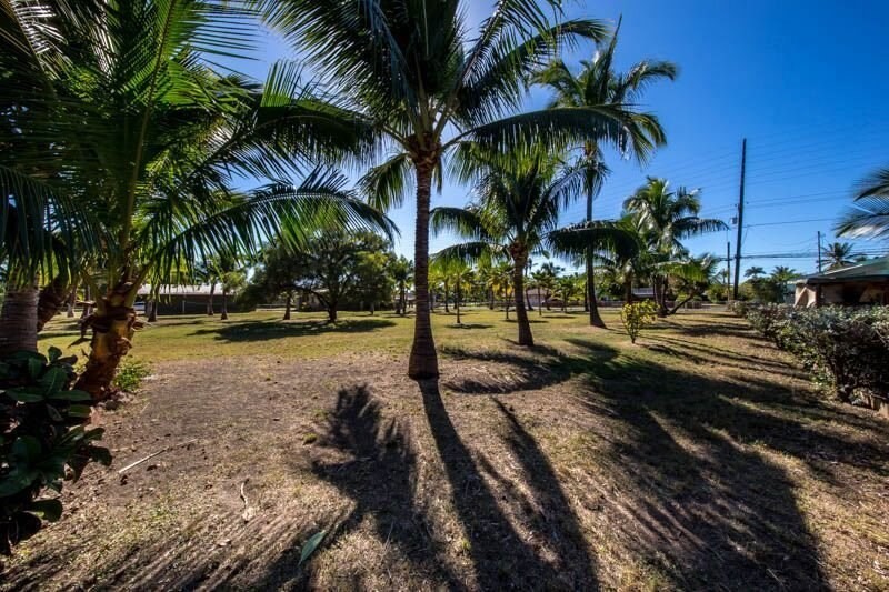 8589 Elepaio Road Kekaha, HI 96752 - Photo 4 of 16 a view of a yard with palm trees