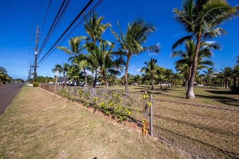 8589 Elepaio Road Kekaha, HI 96752 - Photo 6 of 16 a view of road with large trees