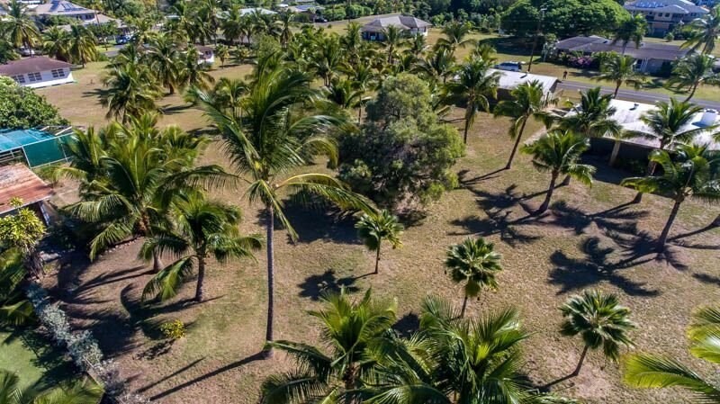 8589 Elepaio Road Kekaha, HI 96752 - Photo 9 of 16 a view of a plant in a garden