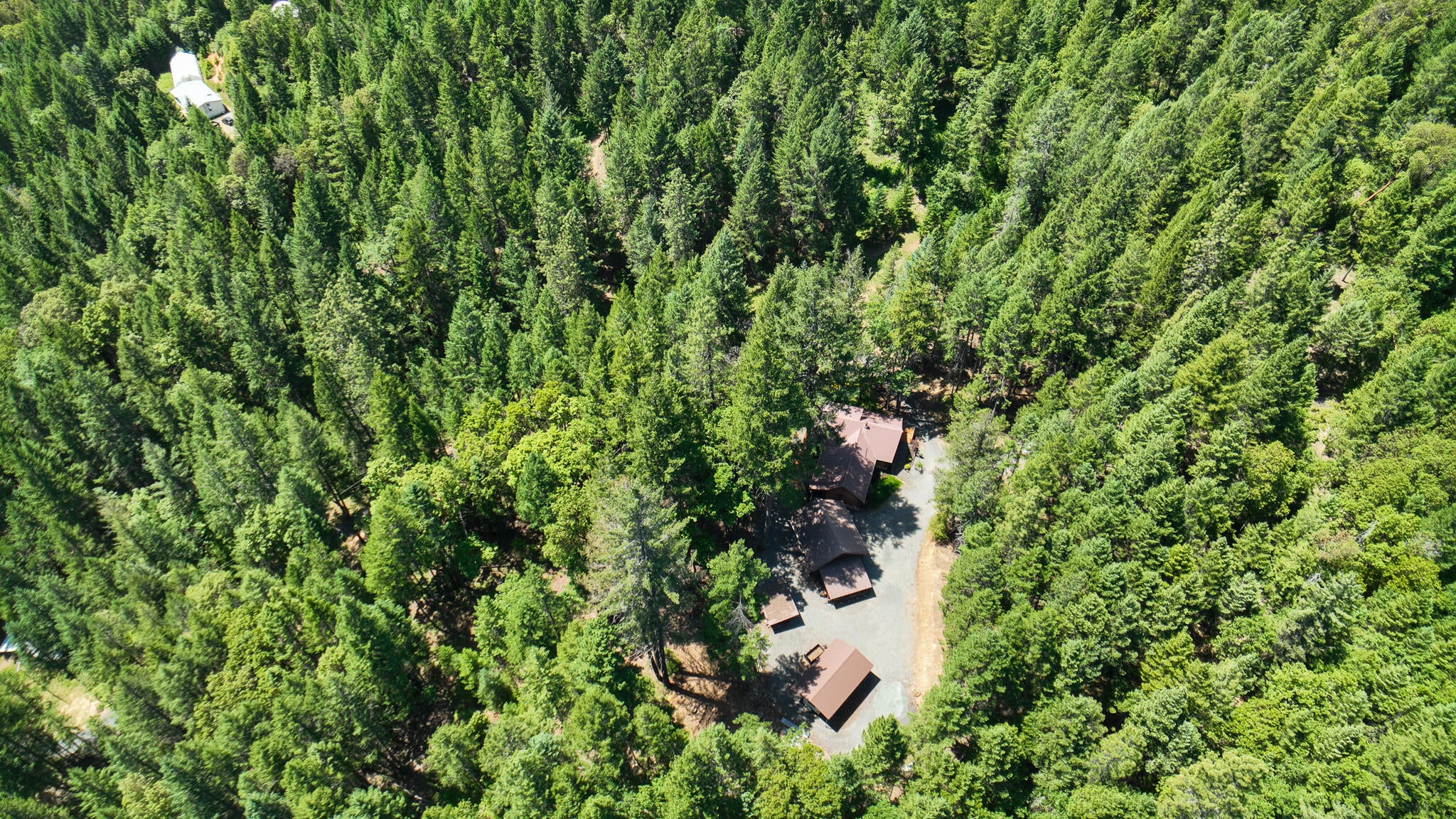 350 Newt Gulch Road Grants Pass, OR 97543 - Photo 51 of 66 51 - Copy - Copy