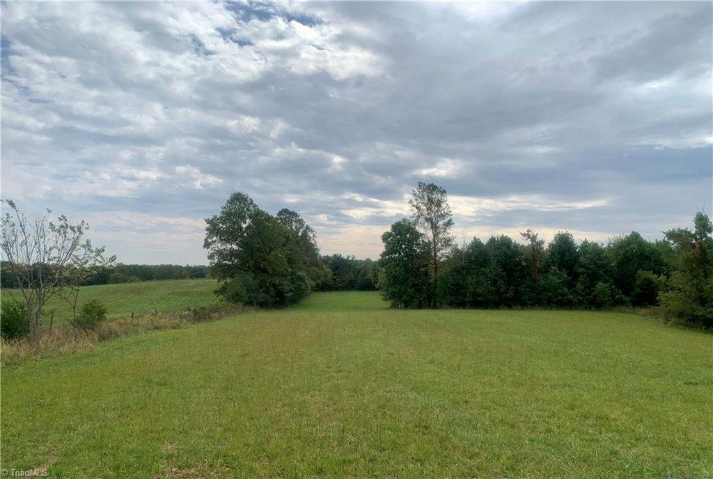 981 Slate Mountain Road Mount Airy, NC 27030 - Photo 4 of 23 hay field