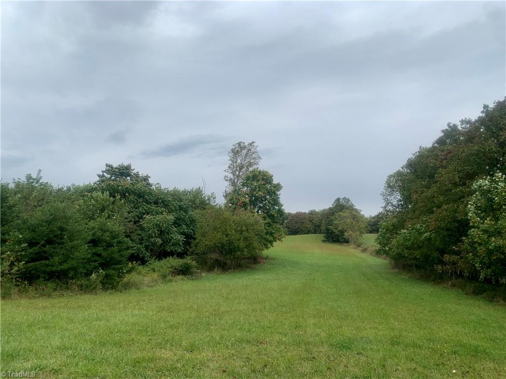 981 Slate Mountain Road Mount Airy, NC 27030 - Photo 5 of 23 hay field