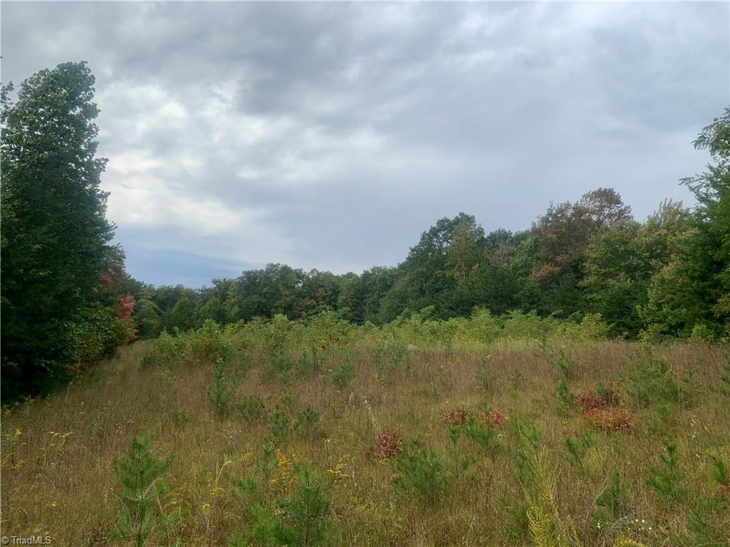 981 Slate Mountain Road Mount Airy, NC 27030 - Photo 8 of 23 overgrown hay field