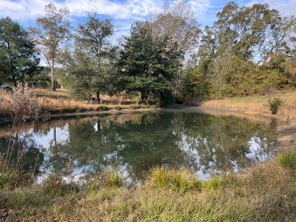 13962 Highway 95 Abbeville, AL 36310 - Photo 11 of 27