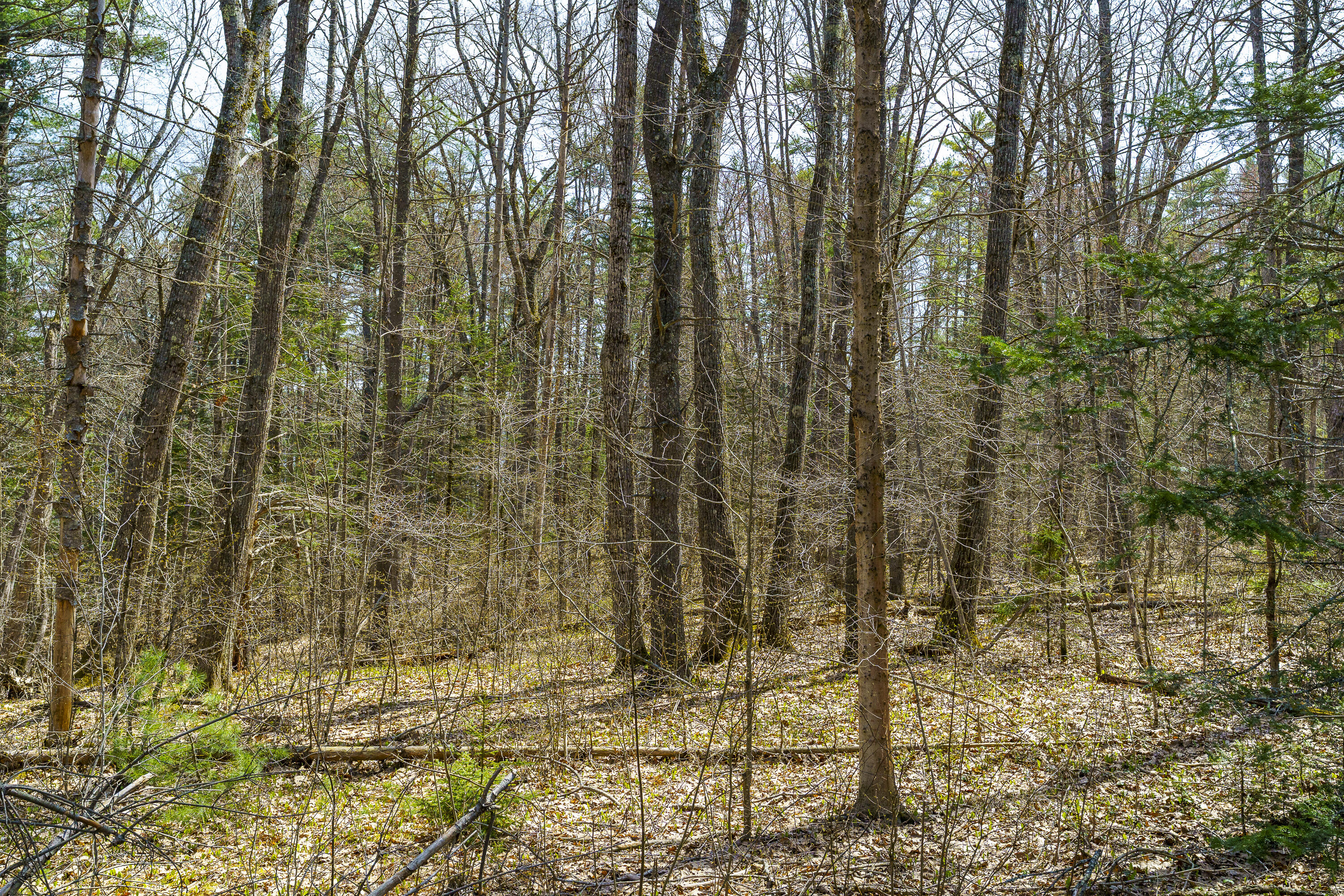 38 Beach Lane Damariscotta, ME 04543 - Photo 43 of 43 50-38 Beach Ln, Damariscotta, ME-TP