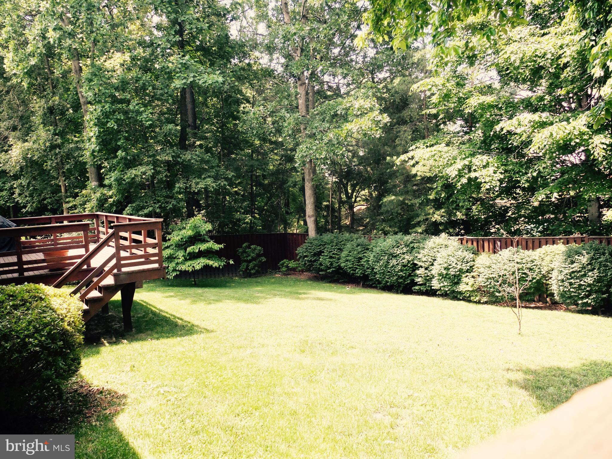 7010 Maple Tree Lane Springfield, VA 22152 - Photo 29 of 29 Backyard