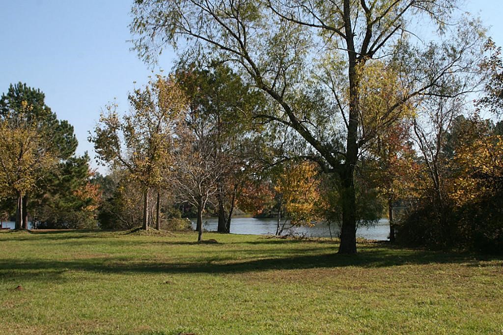 37 Robin Hood Cleveland, TX 77327 - Photo 3 of 20 a view of a golf course