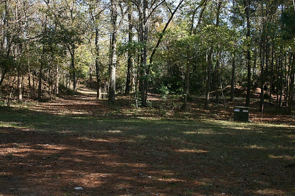 37 Robin Hood Cleveland, TX 77327 - Photo 4 of 20 a view of a park
