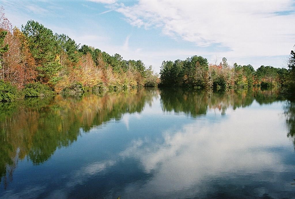 37 Robin Hood Cleveland, TX 77327 - Photo 6 of 20 a view of a lake next to a lake view