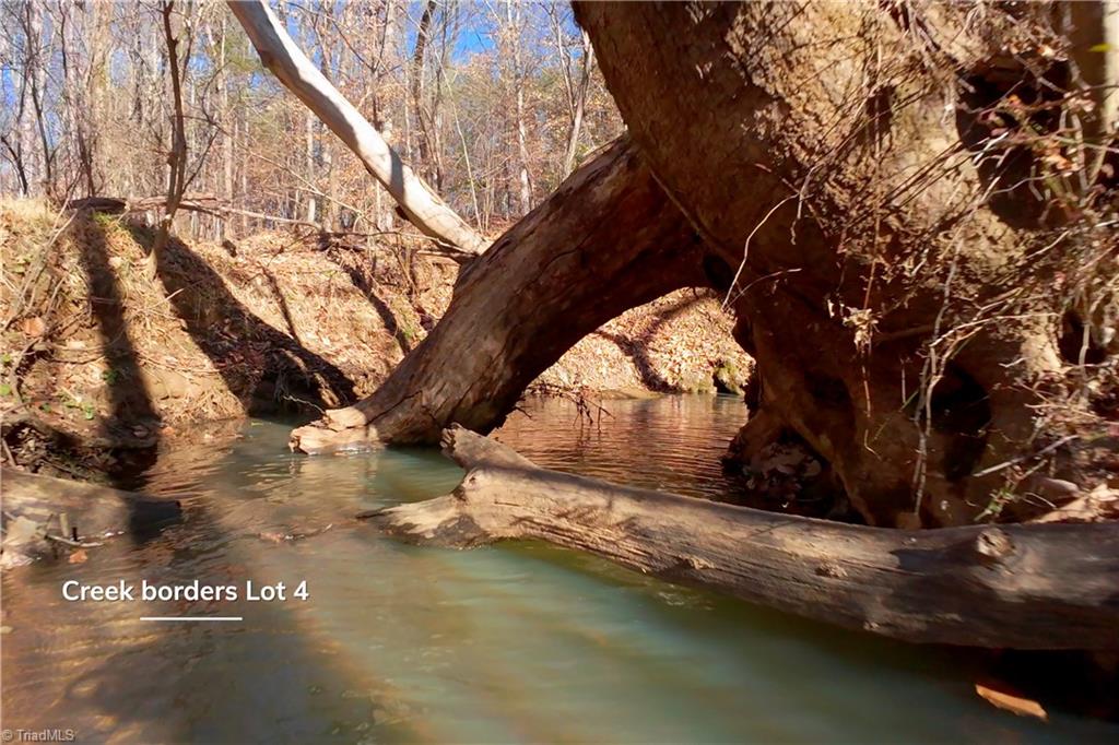 4 Roby Fulk Road Pinnacle, NC 27043 - Photo 11 of 26