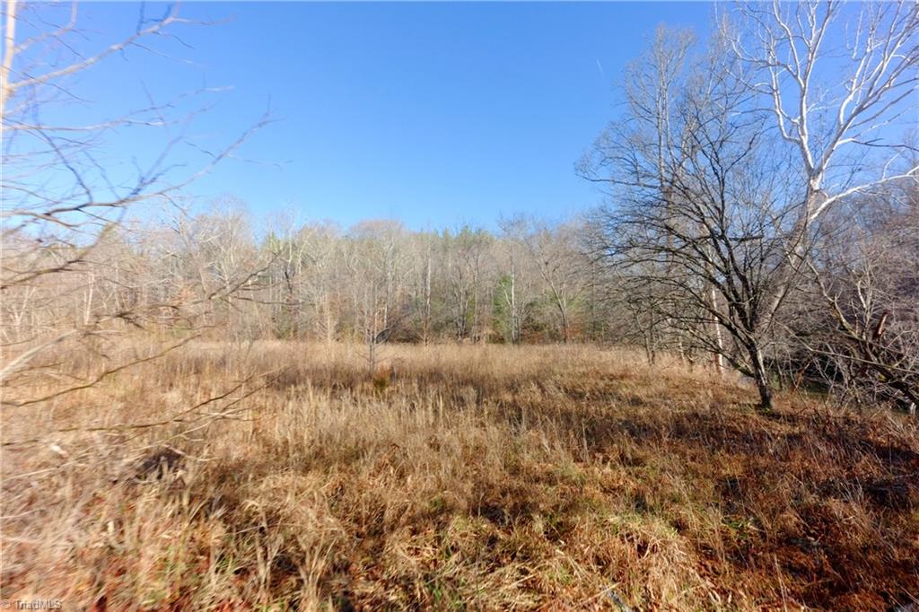 4 Roby Fulk Road Pinnacle, NC 27043 - Photo 13 of 26