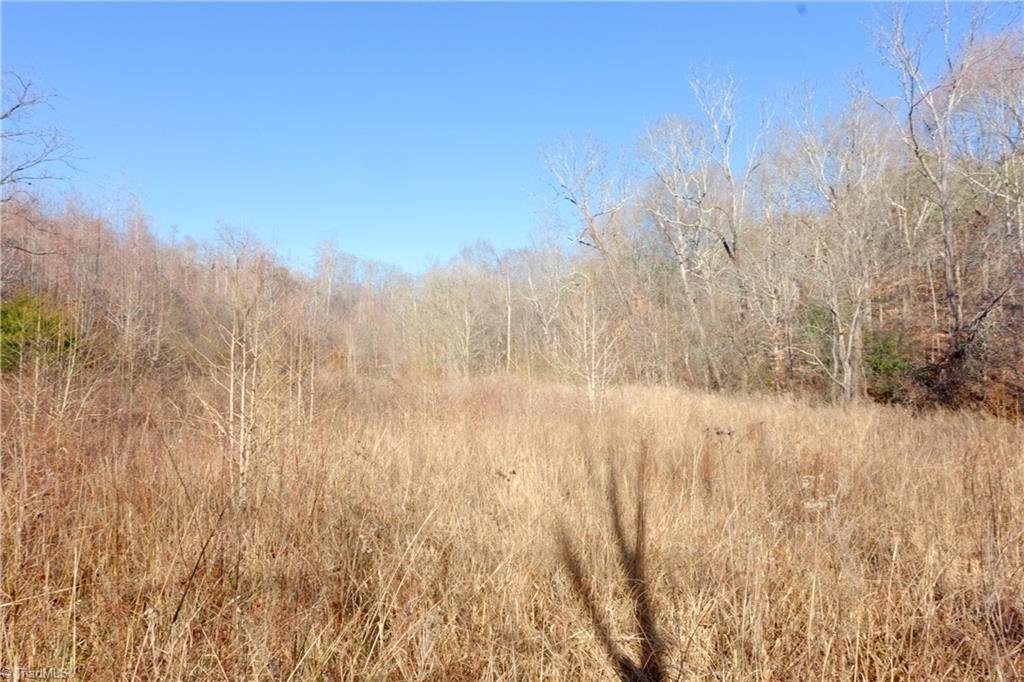 4 Roby Fulk Road Pinnacle, NC 27043 - Photo 14 of 26