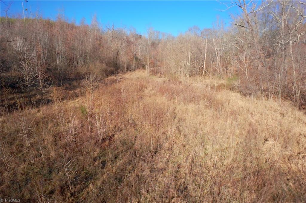 4 Roby Fulk Road Pinnacle, NC 27043 - Photo 15 of 26