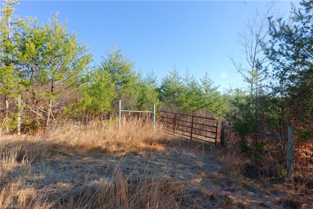 4 Roby Fulk Road Pinnacle, NC 27043 - Photo 18 of 26