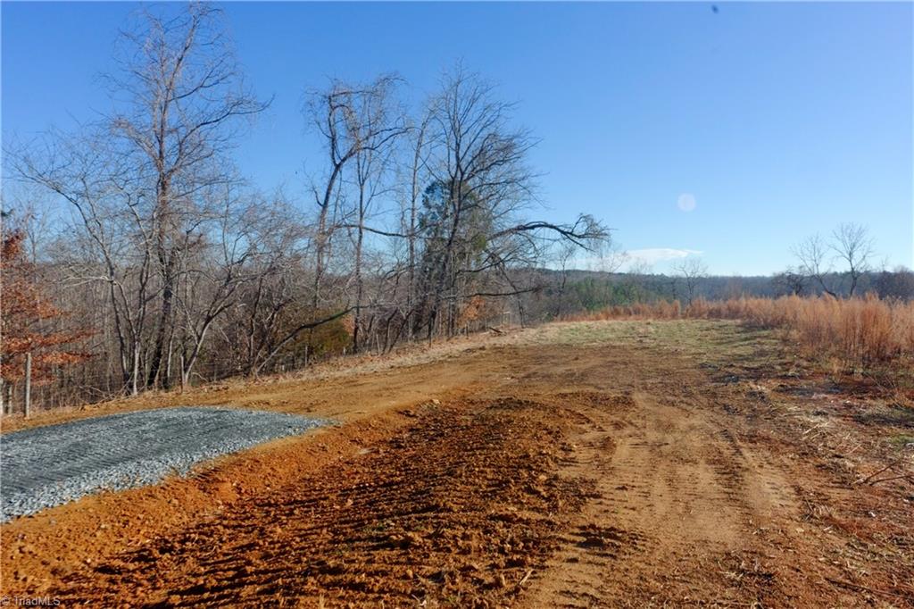 4 Roby Fulk Road Pinnacle, NC 27043 - Photo 19 of 26