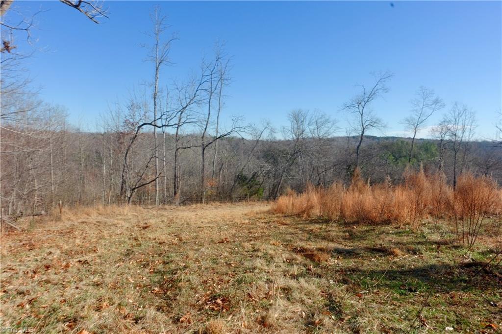 4 Roby Fulk Road Pinnacle, NC 27043 - Photo 20 of 26