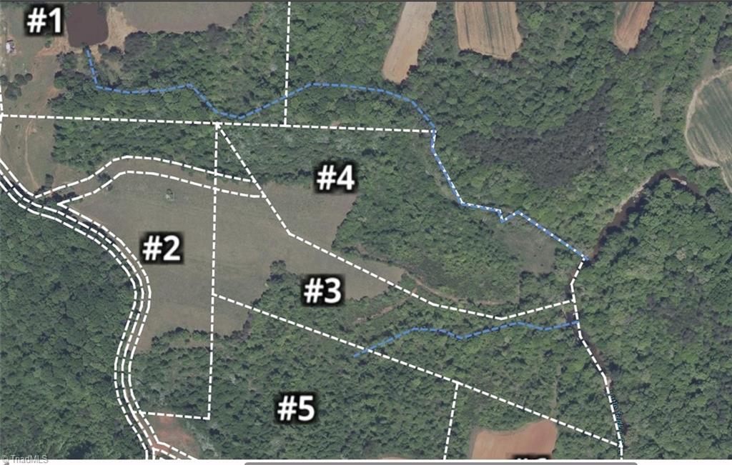 4 Roby Fulk Road Pinnacle, NC 27043 - Photo 24 of 26