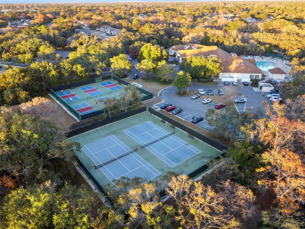 70 Center Oak Circle Spring Hill, FL 34609 - Photo 57 of 58 an aerial view of a residential houses with yard