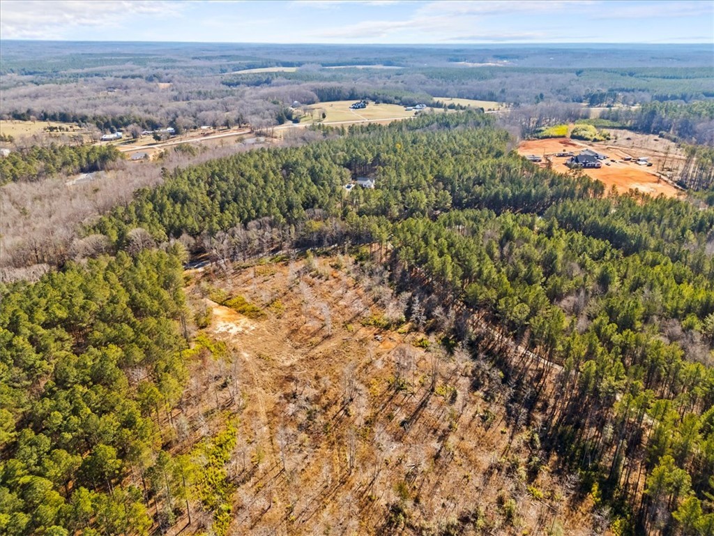 2125 Highway 247 Belton, SC 29627 - Photo 4 of 10