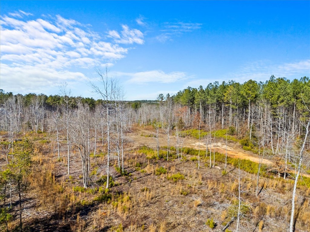 2125 Highway 247 Belton, SC 29627 - Photo 8 of 10