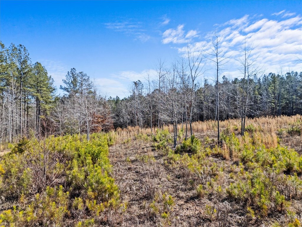 2125 Highway 247 Belton, SC 29627 - Photo 9 of 10