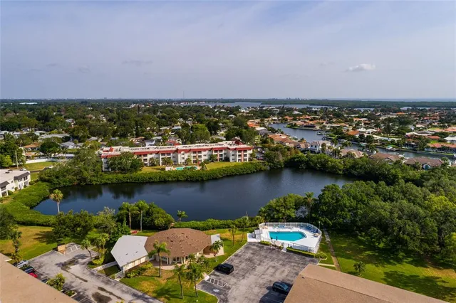 a view of a park with large trees