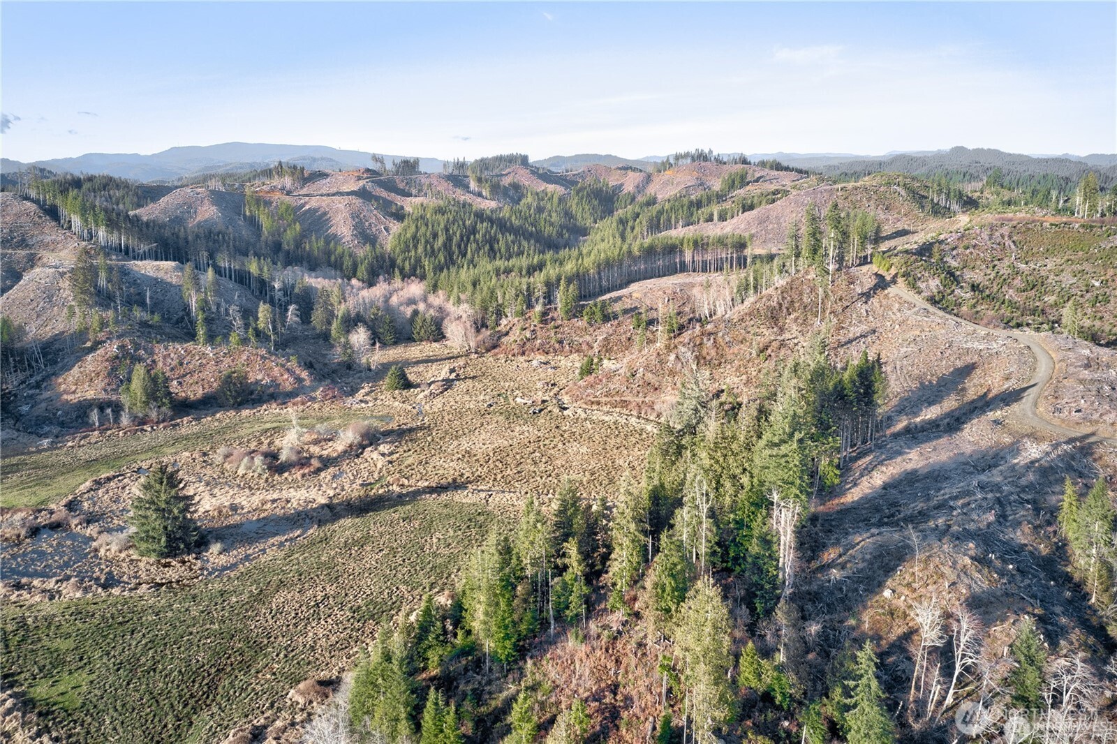 -xx West Deep River Road Naselle, WA 98638 - Photo 16 of 22 a view of a lake with mountains in the background